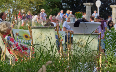 Eröffnungsfest Nibelungenplatz in Tulln